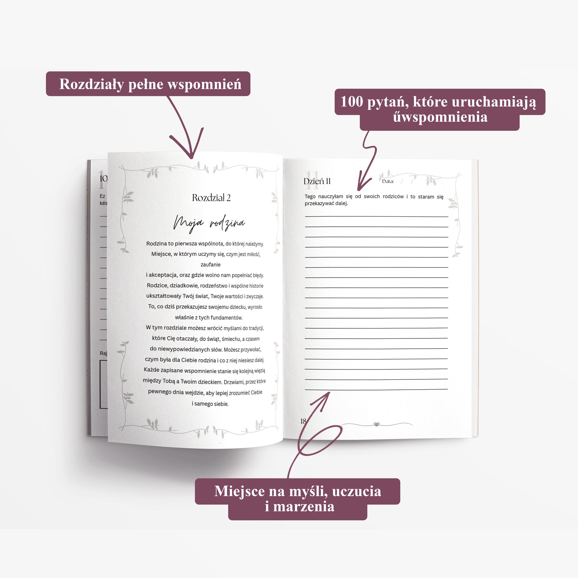 Anya Naplója : 100 nap alatt elmesélem neked a történetemet